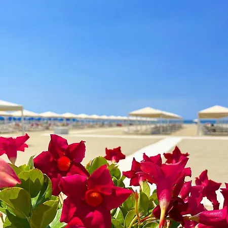 Carli In Centro A Dei Marmi * 马尔米堡
